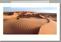 Dunes - Oman