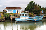 charente oléron marennes île chapus 
