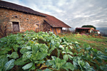 Escapades photographies provinces france culturelles