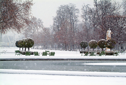 jardin des tuileries chaises chiases hiver paris décembre