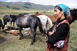 cheval Kirgizstan steppe nomade juments koumis