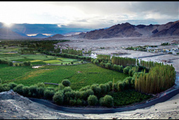 ladakh himalaya paysage tiksey vallé