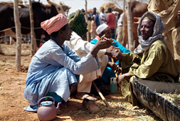  Niamey niger afrique foire agricole touareg
