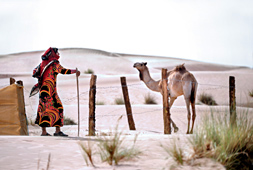 Desert Wahiba Sands oman bedouins