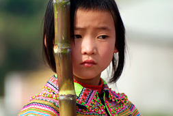 Hmong fleur flower viêtnam éthnie minoritaire montagnarde bac Ha